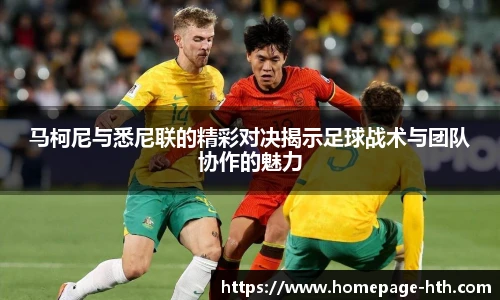 华体会体育